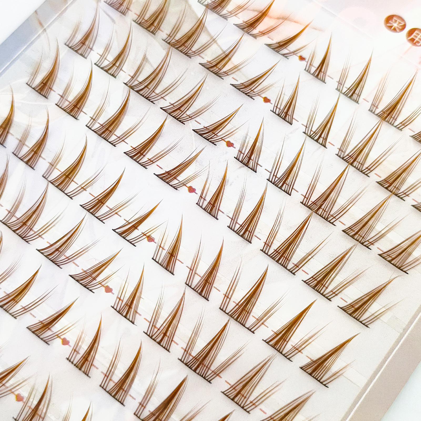 Brown Sunflower DIY Lash Clust – Hair Care Korea recenzja i cena
