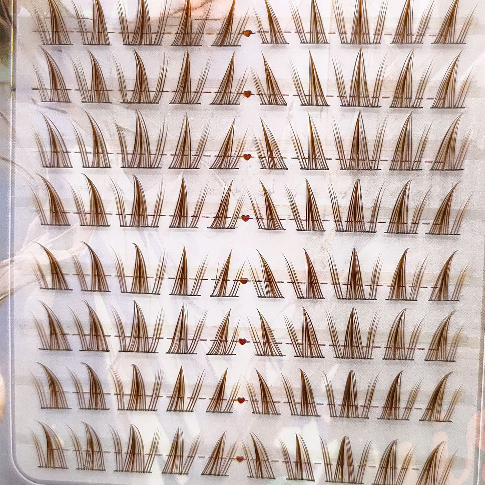 Brown Sunflower DIY Lash Clust – Hair Care Korea recenzja i cena